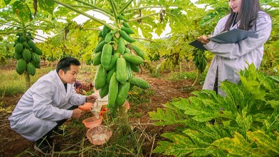 酶制劑公司排名：哪個(gè)廠家在食品、飼料、工業(yè)領(lǐng)域拔得頭籌