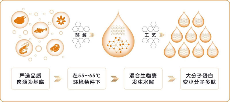 酶解技術(shù)在寵物誘食劑中的應用