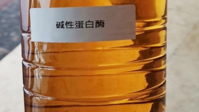 酶制劑助力含酶洗衣液品質(zhì)升級(jí)