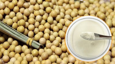 酶解法制備大豆蛋白肽具有什么優(yōu)勢？